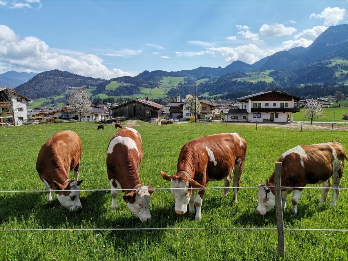Ferienhaus Weberhof Reith im Alpbachtal Exterior photo